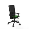Office Chair Piqueras y Crespo 1D066G0 Green