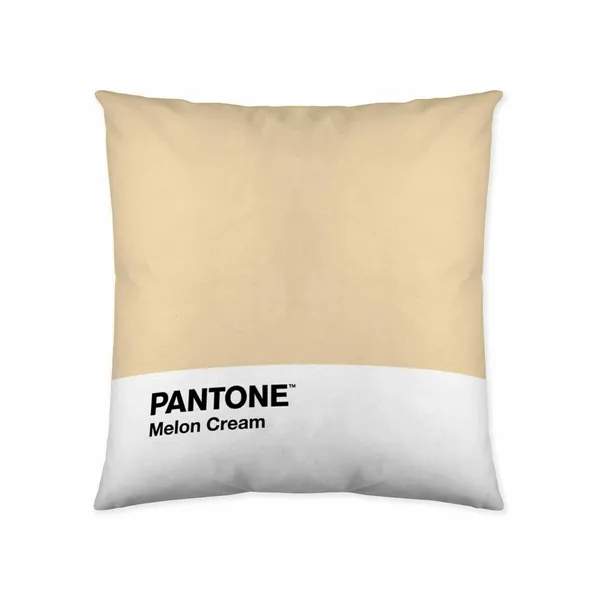 Cushion cover Melon Cream Pantone 63836415 50 x 50 cm