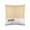 Cushion cover Melon Cream Pantone 63836415 50 x 50 cm