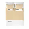 Nordic cover Pantone Melon Cream Double (220 x 220 cm)