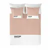 Nordic cover Pantone Sweet Peach Double (220 x 220 cm)