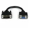 DVI-I to VGA Cable Startech DVIVGAMF8IN          Black 0,2 m