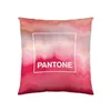 Cushion cover Pantone Totem (50 x 50 cm)