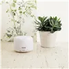 Humidifier Dcook Gallery 300 ml