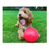 Dog toy Company of Animals Boomer Blue (200mm)