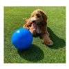 Dog toy Company of Animals Boomer Blue (200mm)