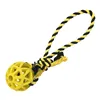 Dog chewing toy Gloria Grille Assorted colours (7 cm) (7 x 30 cm)