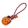 Dog chewing toy Gloria Grille Assorted colours (7 cm) (7 x 30 cm)