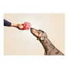 Dog toy Gloria Dispenser Sweets Rubber (12 cm)