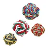 Dog toy Gloria Polyester Multicolour (9-10 cm)