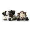 Dog toy Hunter Faro Grey Pig