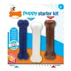 Dog chewing toy Nylabone Extreme Chew Starter Kit Puppies Chicken Nylon Thermoplastic (3 pcs)