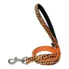 Dog Lead Gloria 1.5 x 120 cm Orange