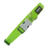 Dog collar Red Dingo Lime (2,5 x 41-63 cm)