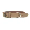 Dog collar Gloria Oasis Beige (1,2 x 35 cm)