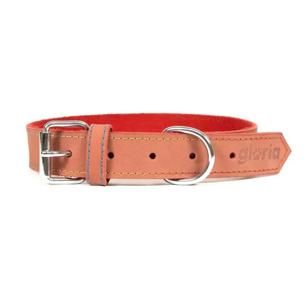 Dog collar Gloria Oasis Red (1,5 x 40 cm)