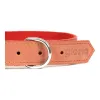 Dog collar Gloria Oasis Red (1,5 x 40 cm)