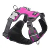 Dog Harness Red Dingo Padded Fuchsia Size S