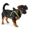 Dog Harness Hunter Hilo-Comfort Lime M (55-60 cm)