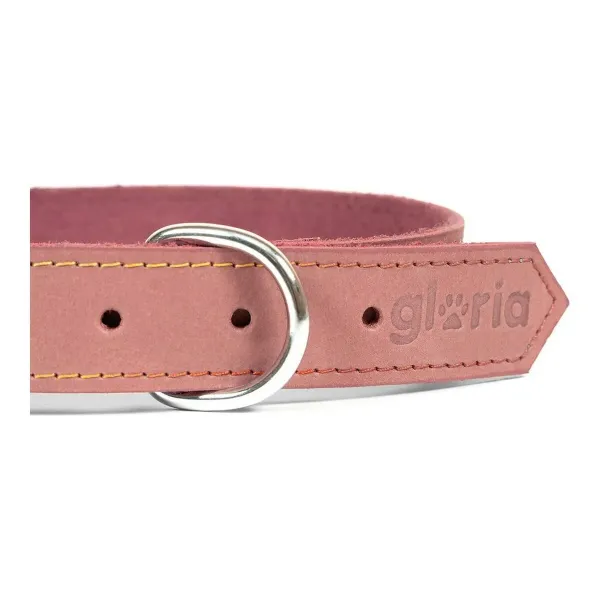 Dog collar Gloria Oasis Pink (65 x 3 cm)