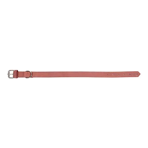 Dog collar Gloria Oasis Pink (65 x 3 cm)