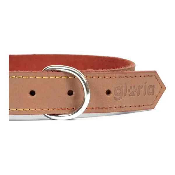 Dog collar Gloria Oasis Brown (55 x 2,5 cm)