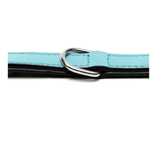 Dog collar Gloria Padded Blue (40 x 2 cm)