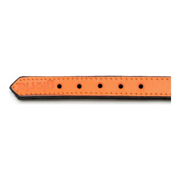 Dog collar Gloria Padded Orange (40 x 2 cm)