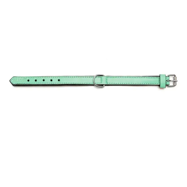 Dog collar Gloria Padded Green (40 x 2 cm)