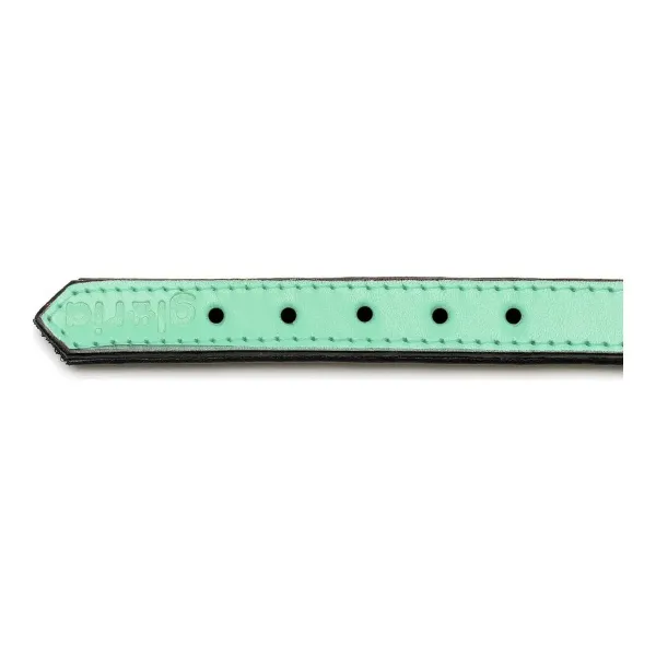 Dog collar Gloria Padded Green (40 x 2 cm)