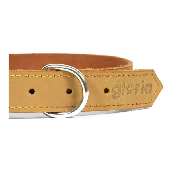 Dog collar Gloria Oasis Yellow (35 x 1,2 cm)