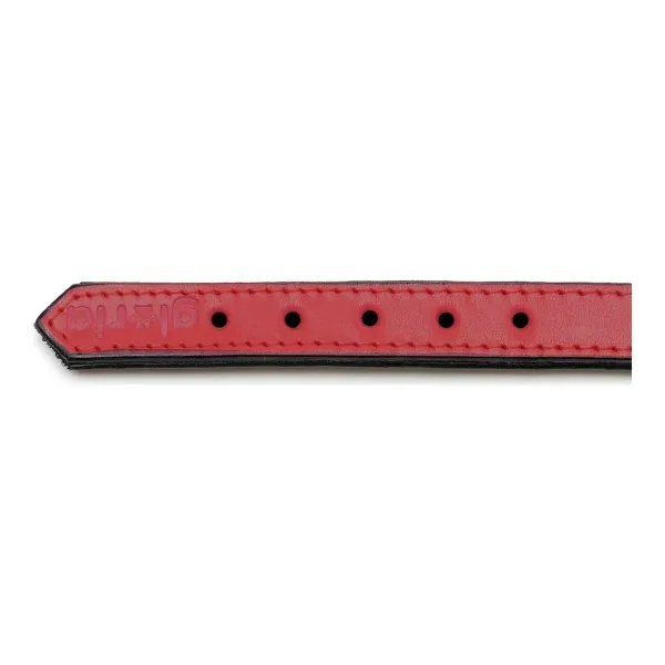 Dog collar Gloria Padded Red 50 cm (50 x 2,5 cm)