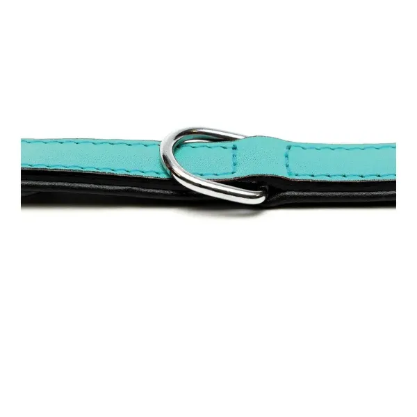 Dog collar Gloria Padded Turquoise 55 cm (55 x 2,5 cm)