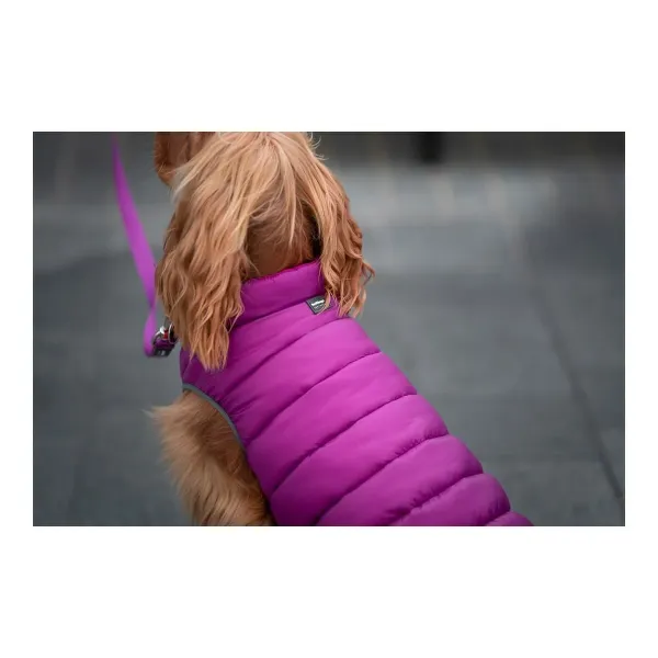 Dog Coat Red Dingo Puffer Pink/Purple 25 cm