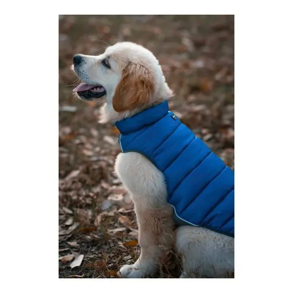 Dog Coat Red Dingo Puffer Turquoise 50 cm