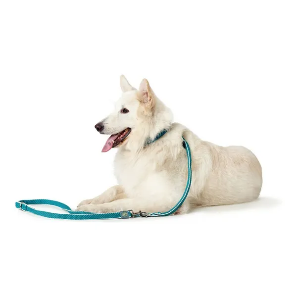 Dog Lead Hunter HILO Turquoise 200 cm