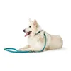 Dog Lead Hunter HILO Turquoise 200 cm