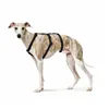 Dog Harness Hunter Black L M/L