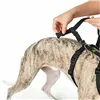 Dog Harness Hunter Black L M/L