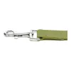 Dog Lead Gloria Oasis 3 x 60 cm Green