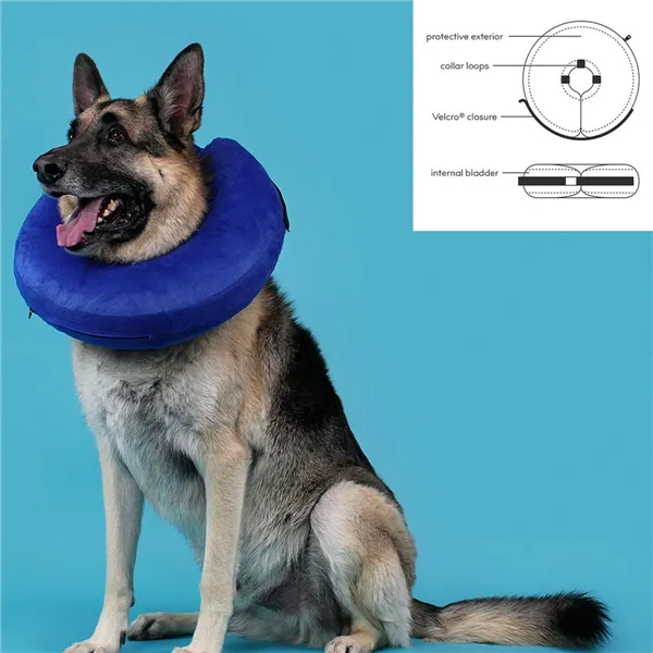 Recovery Collar for Dogs KVP Kong Cloud Blue Inflatable (15-25 cm)