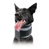 Cervical Collar for Dogs KVP Black (9-36 cm)