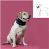 Cervical Collar for Dogs KVP Black (9-36 cm)