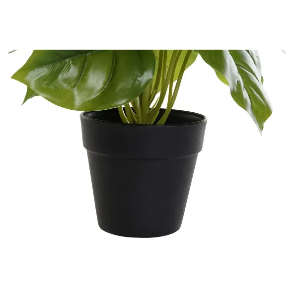 Decorative Plant DKD Home Decor PVC polypropylene 20 x 20 x 30 cm