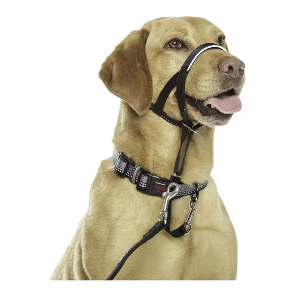 Dog Training Collars Company of Animals Halti Black Muzzle (40-54 cm)