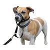 Dog Training Collars Company of Animals Halti Black Muzzle (31-40 cm)