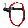 Dog Harness Company of Animals Halti Black/Red Size S (36-64 cm)