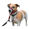 Dog Training Collars Company of Animals Halti Muzzle (35-48 cm)