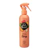 Dry Shampoo Pet Head Quick Fix Dog Peach Spray (300 ml)