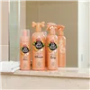 Dry Shampoo Pet Head Quick Fix Dog Peach Spray (300 ml)